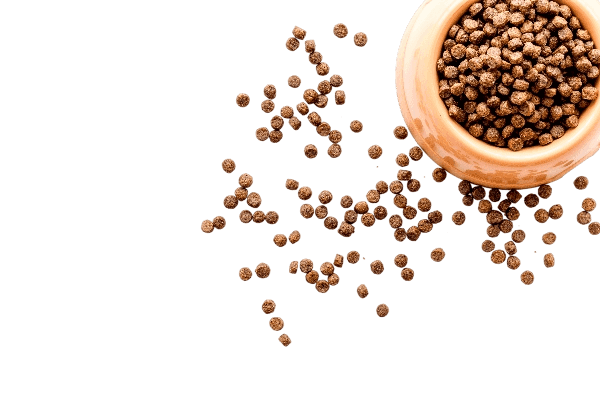 Pet Food
