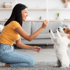 petzonee-2