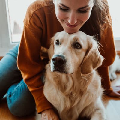 petzonee-5