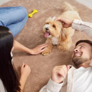 petzonee-6