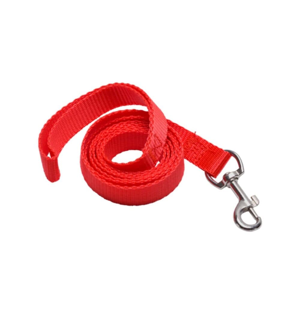 Collar Belt