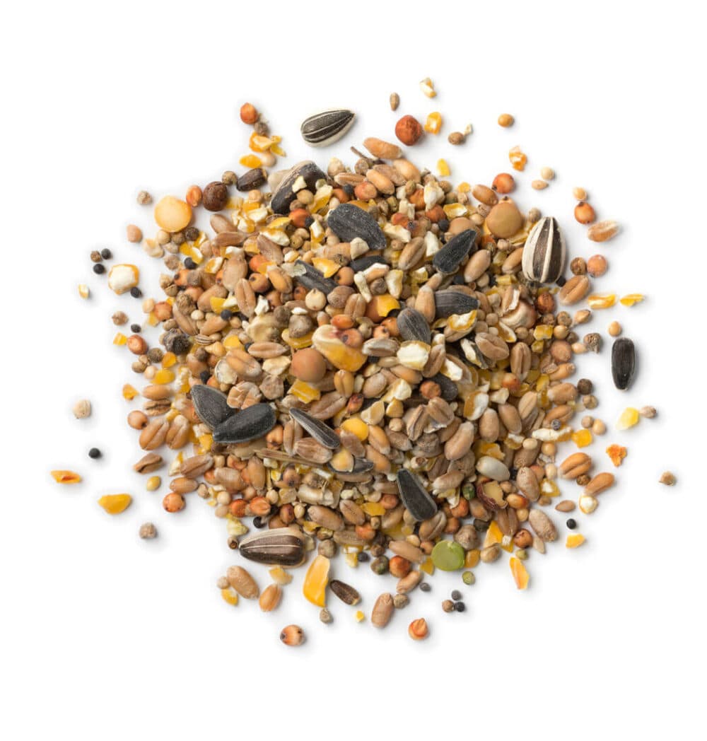 Bird Food Mixture