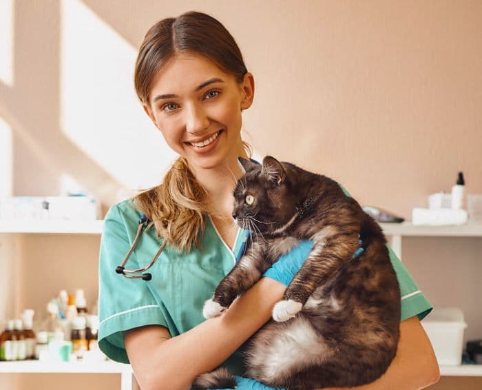 Pet Nutrition background